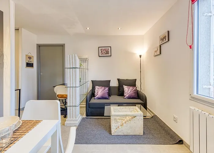 Apartman Le Petit Ideal Confort Gare Netflix Stationnement Proche Et Gratuit